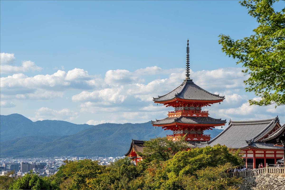 おすすめプラン